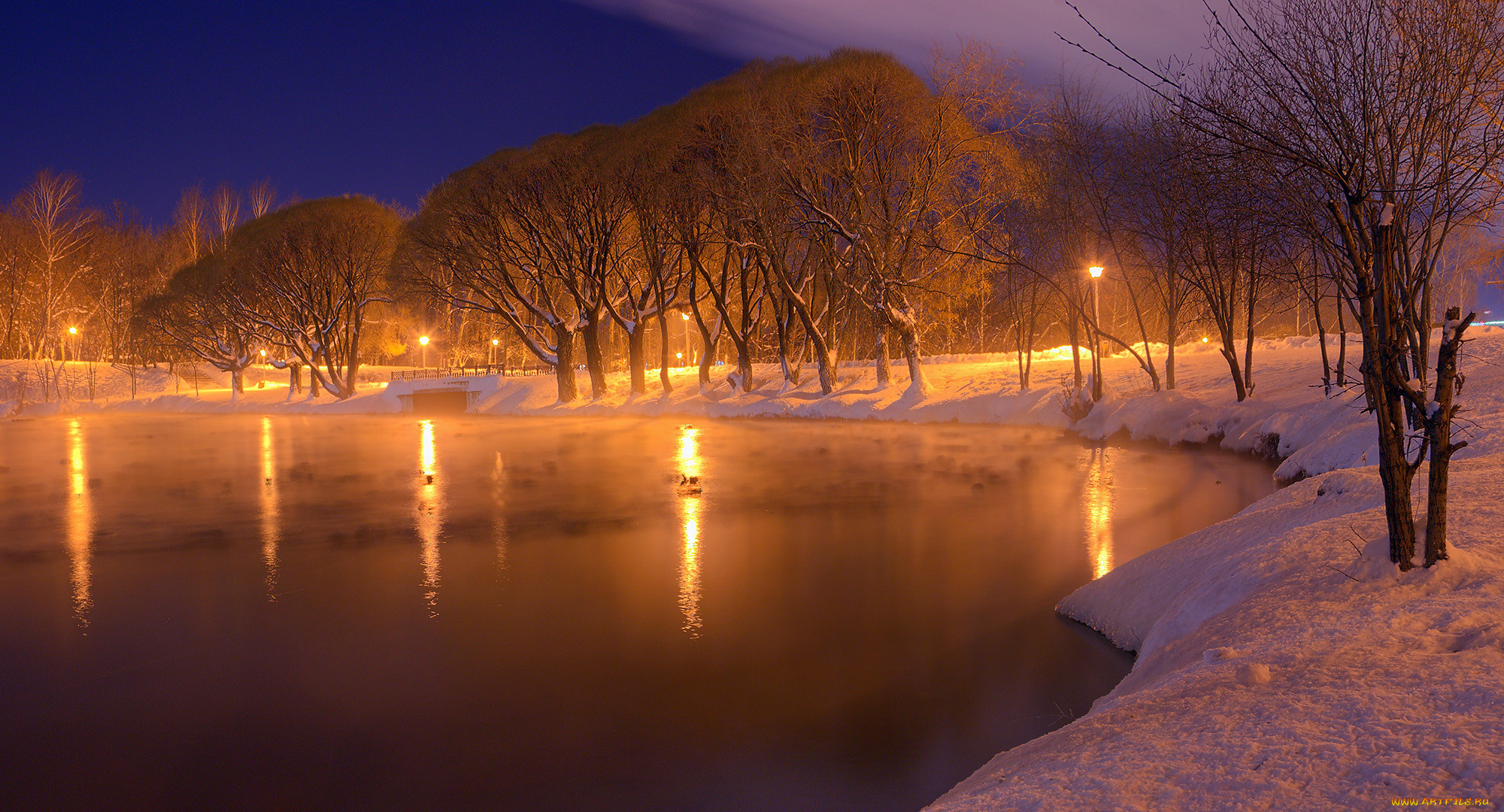 зимний парк ночью